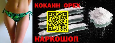 СК Дубна