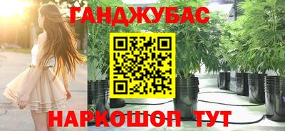 СК Дубна